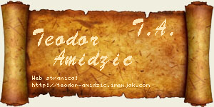 Teodor Amidžić vizit kartica